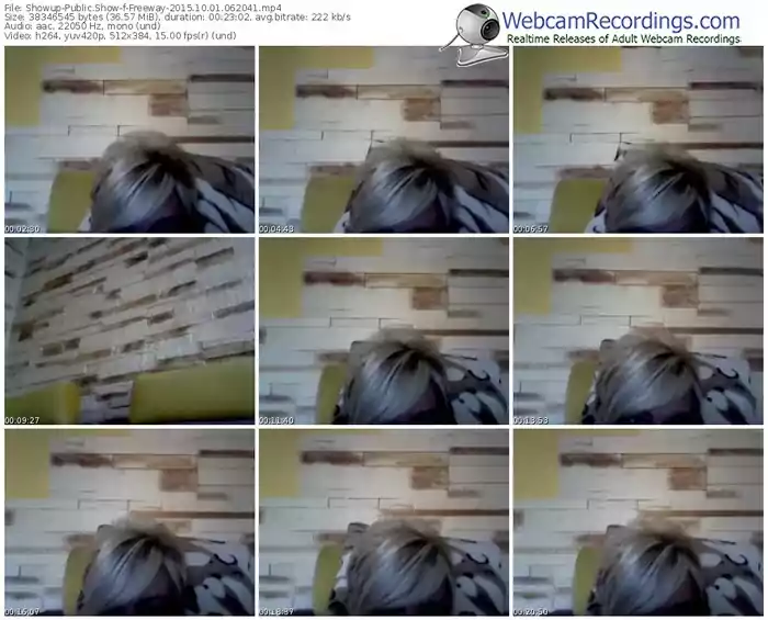 showup-freeway-webcam-show-10_01_2015-06_20_41