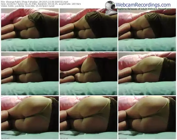 showup-shadow_28-webcam-show-10_06_2015-00_40_32