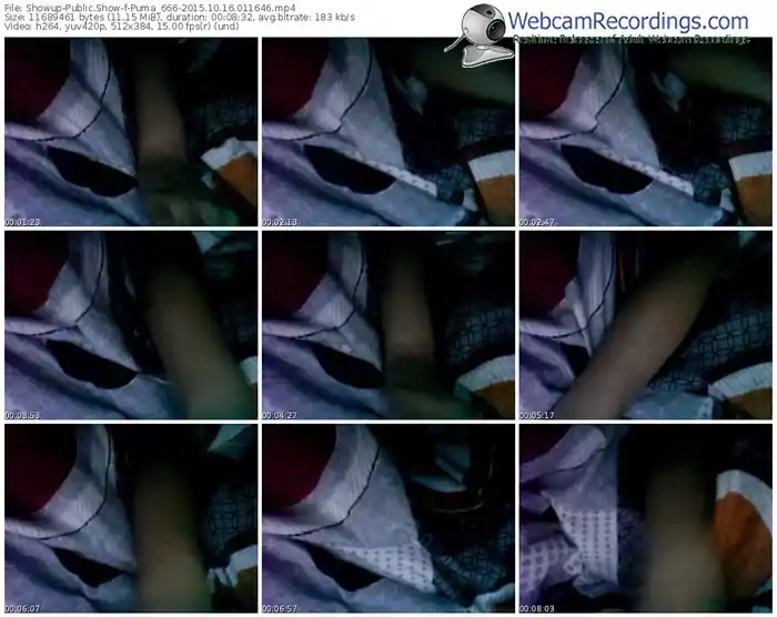 showup-puma_666-webcam-show-10_16_2015-01_16_46