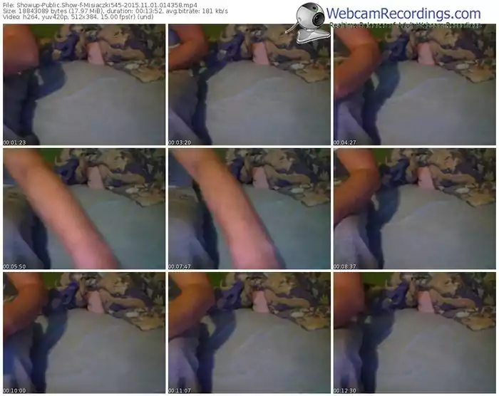 showup-misiaczki545-webcam-show-11_01_2015-01_43_58