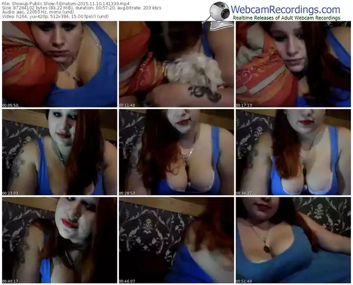 showup-erratum-webcam-show-11_10_2015-14_13_39