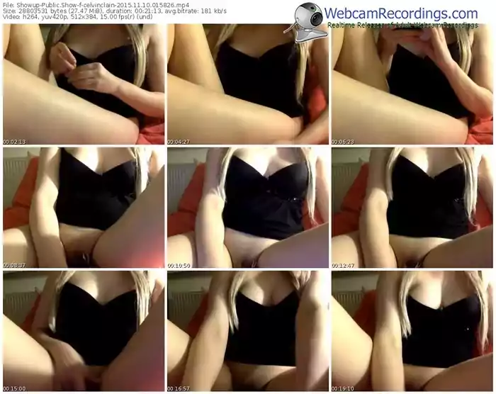 showup-celvinclain-webcam-show-11_10_2015-01_58_26