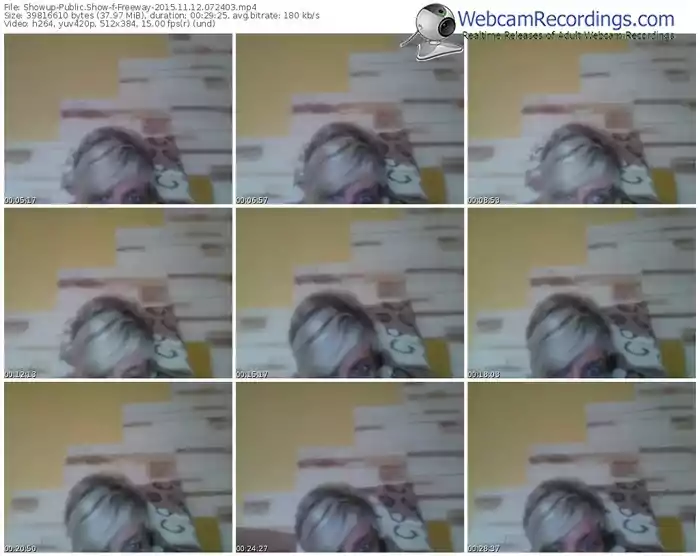 showup-freeway-webcam-show-11_12_2015-07_24_03