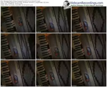 showup-roza1234-webcam-show-11_12_2015-16_24_15