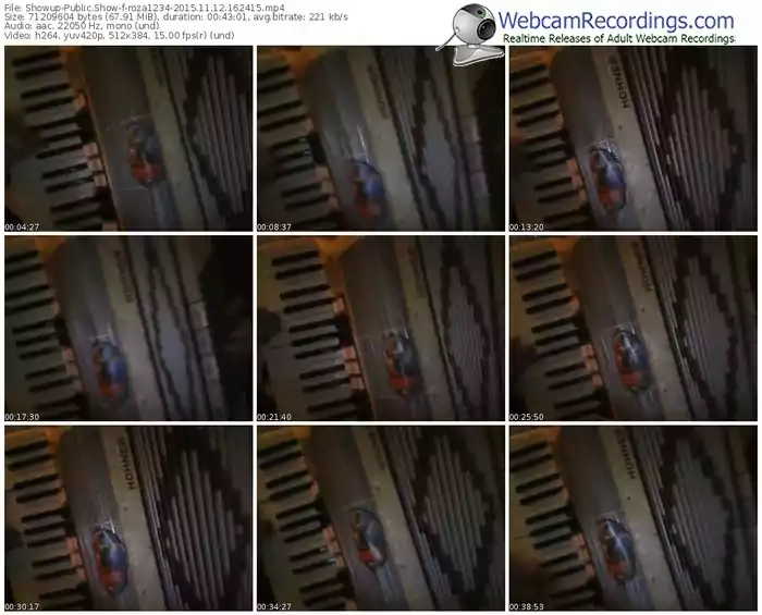 showup-roza1234-webcam-show-11_12_2015-16_24_15