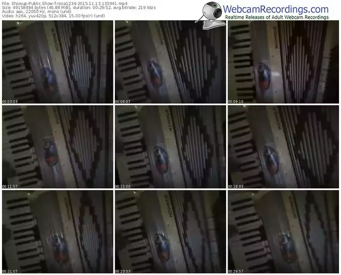 showup-roza1234-webcam-show-11_13_2015-13_59_41