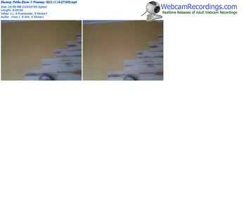 showup-freeway-webcam-show-11_14_2015-07_19_59
