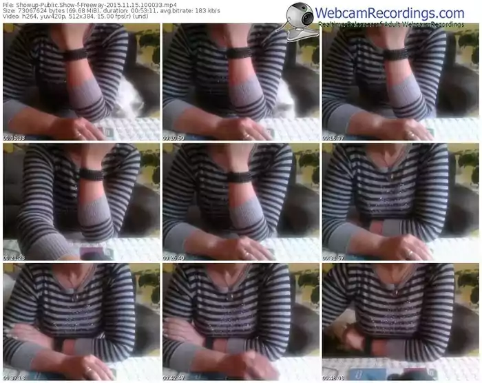 showup-freeway-webcam-show-11_15_2015-10_00_33