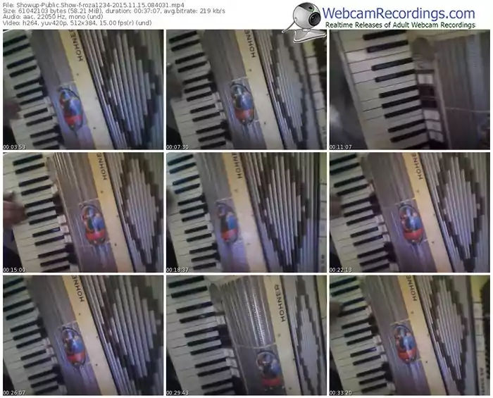 showup-roza1234-webcam-show-11_15_2015-08_40_31