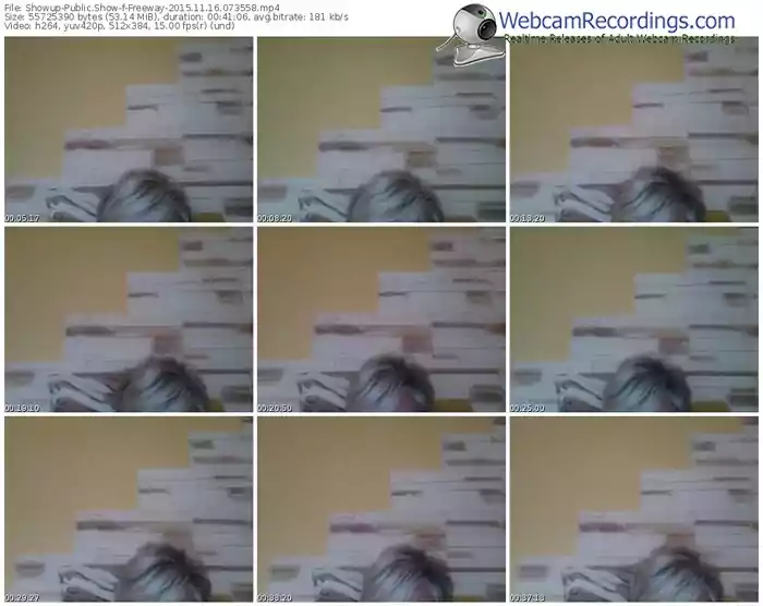 showup-freeway-webcam-show-11_16_2015-07_35_58