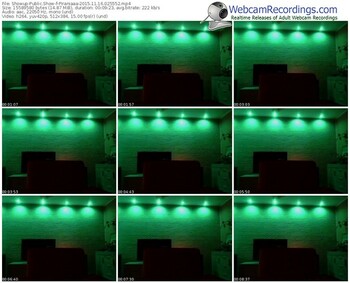 showup-piraniaaa-webcam-show-11_16_2015-02_55_52