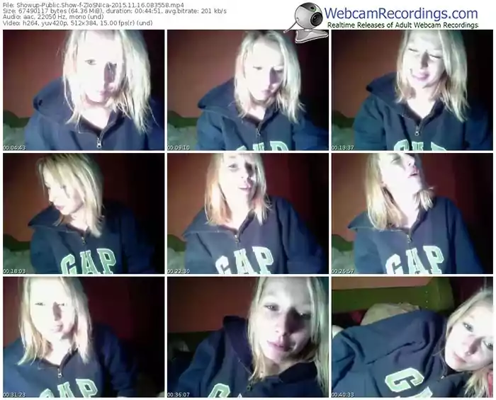 showup-zlosnica-webcam-show-11_16_2015-08_35_58