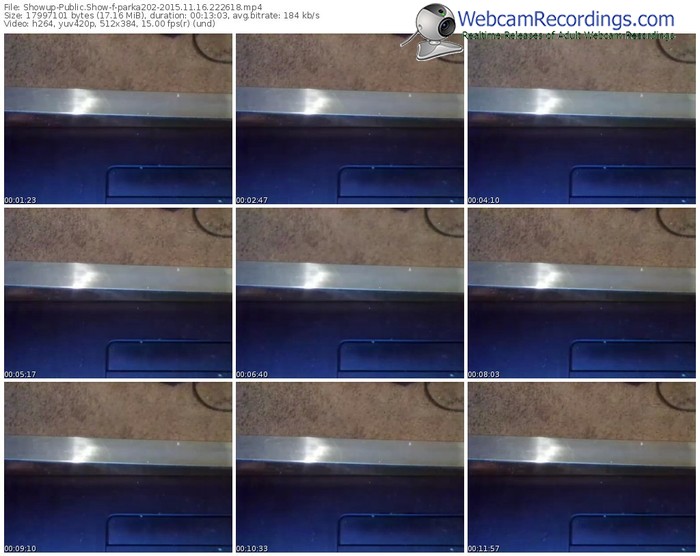 showup-parka202-webcam-show-11_16_2015-22_26_18