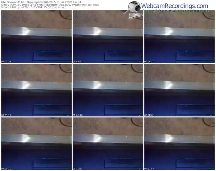 showup-parka202-webcam-show-11_16_2015-22_26_18