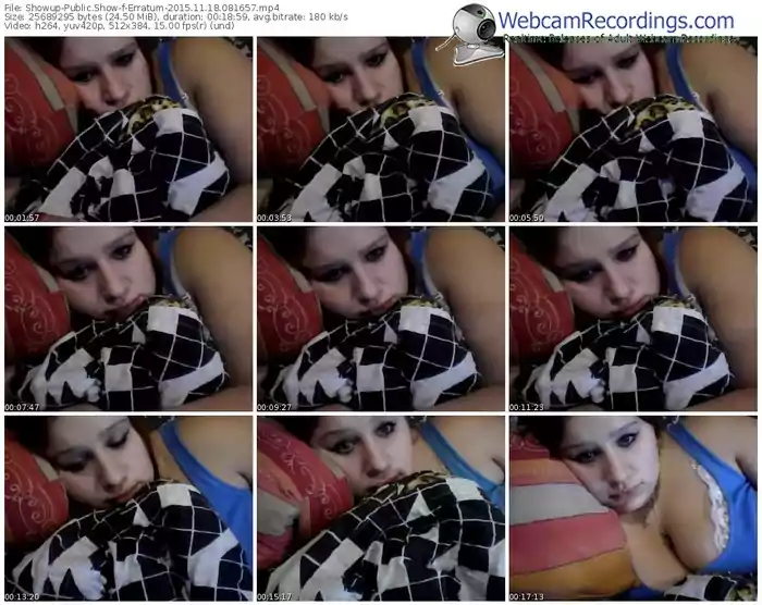 showup-erratum-webcam-show-11_18_2015-08_16_57