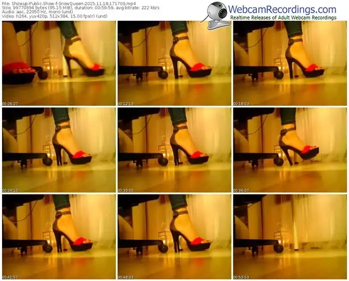 showup-snowqueen-webcam-show-11_18_2015-17_17_09