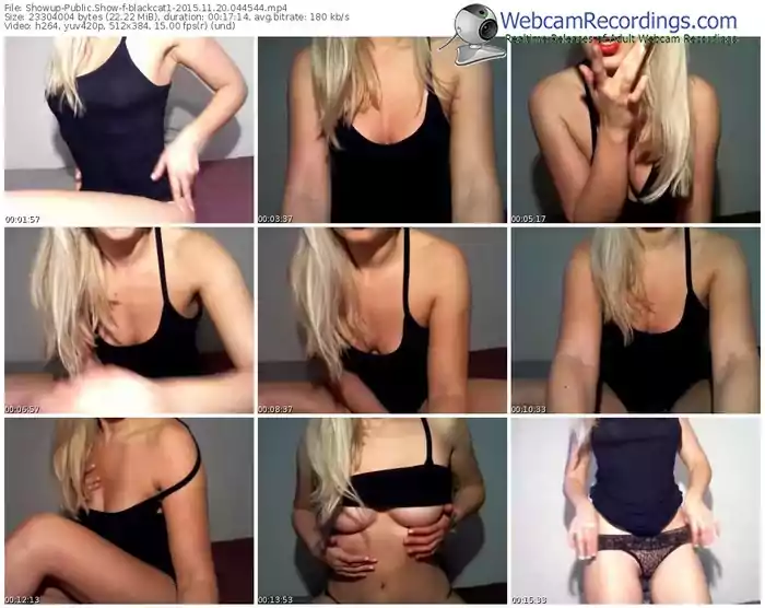 showup-blackcat1-webcam-show-11_20_2015-04_45_44