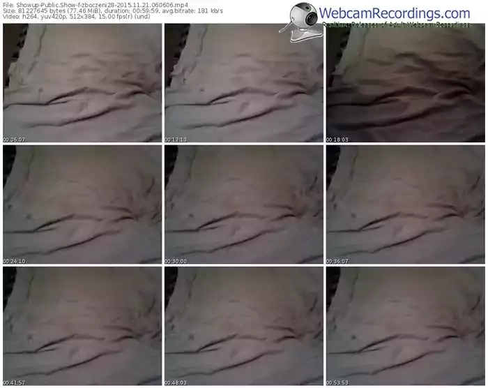 showup-zboczeni28-webcam-show-11_21_2015-06_06_06