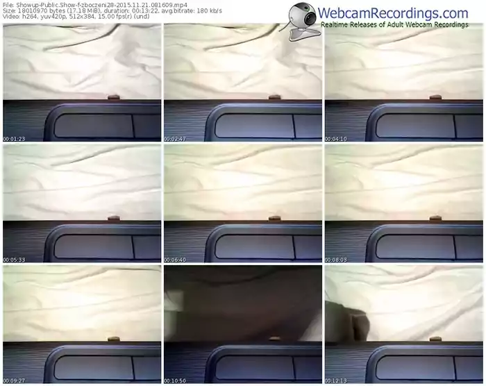 showup-zboczeni28-webcam-show-11_21_2015-08_16_09