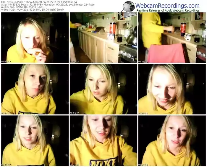 showup-zlosnica-webcam-show-11_22_2015-17_51_36