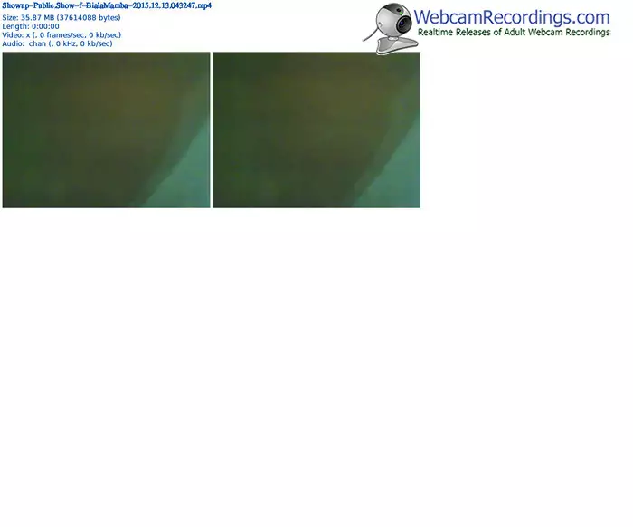 showup-bialamamba-webcam-show-12_13_2015-04_32_47