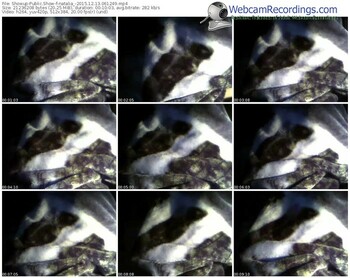 showup-natalia_-webcam-show-12_13_2015-06_12_49