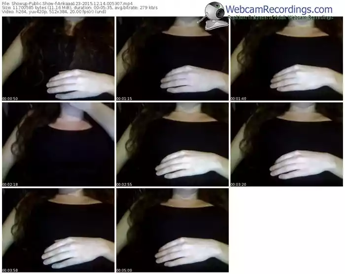 showup-ankaaa123-webcam-show-12_14_2015-00_53_07