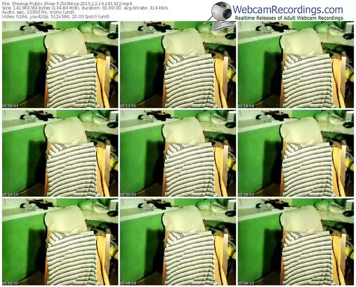 showup-zlosnica-webcam-show-12_14_2015-18_13_22