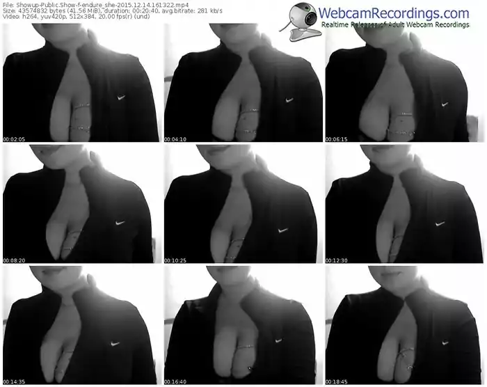 showup-endure_she-webcam-show-12_14_2015-16_13_22