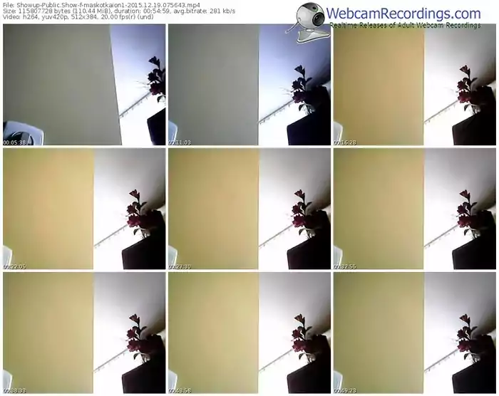 showup-maskotkaion1-webcam-show-12_19_2015-07_56_43