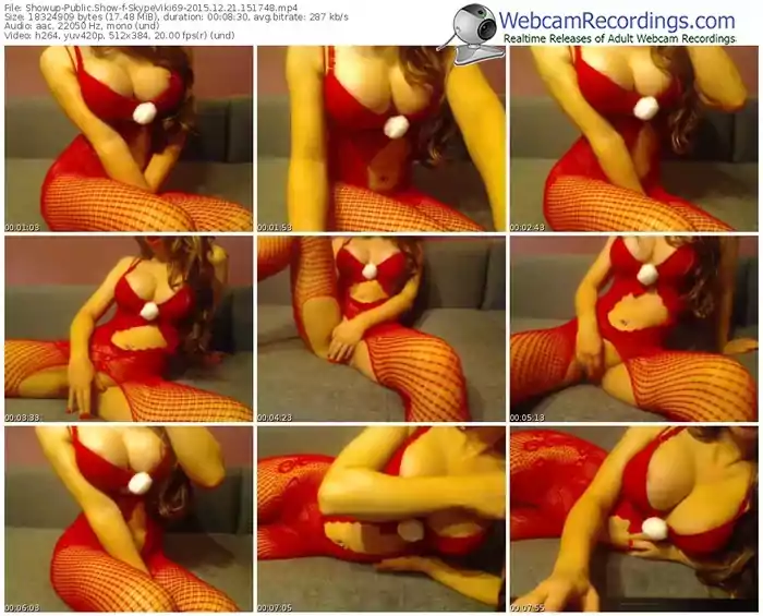 showup-skypeviki69-webcam-show-12_21_2015-15_17_48