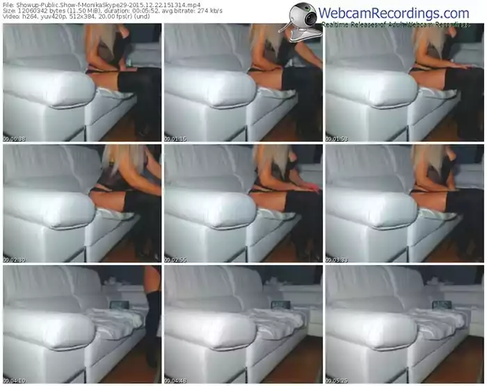 showup-monikaskype29-webcam-show-12_22_2015-15_13_14