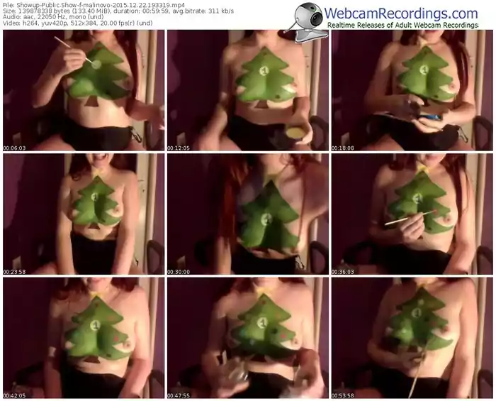 showup-malinovo-webcam-show-12_22_2015-19_33_19