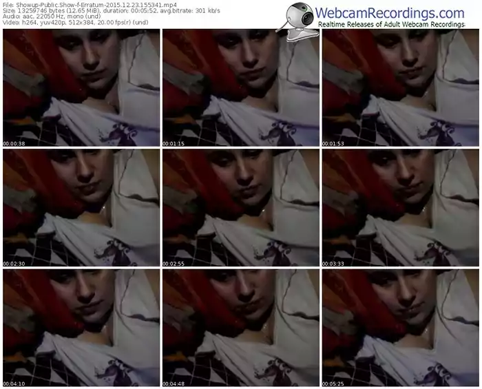 showup-erratum-webcam-show-12_23_2015-15_53_41