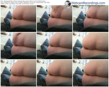 showup-niesmiala_wawa-webcam-show-12_25_2015-00_09_18