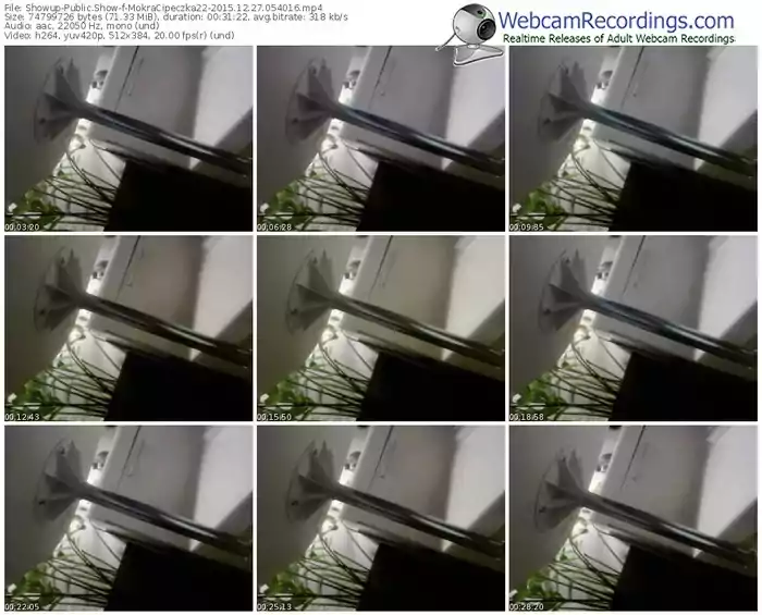 showup-mokracipeczka22-webcam-show-12_27_2015-05_40_16