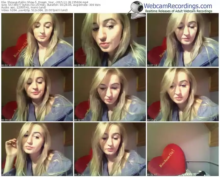showup-_dream_your_-webcam-show-12_28_2015-23_56_04