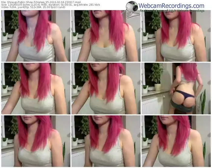 showup-dianaa_95-webcam-show-02_04_2016-23_39_17