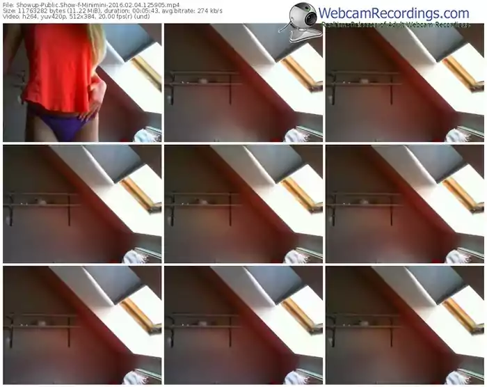 showup-minimini-webcam-show-02_04_2016-12_59_05