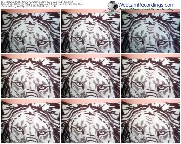 showup-amazing_lady-webcam-show-02_14_2016-11_43_29