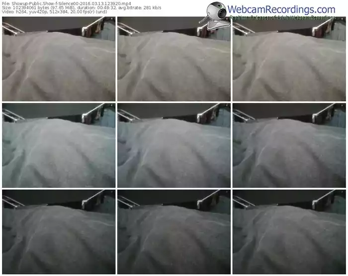 showup-silence00-webcam-show-03_13_2016-12_39_20