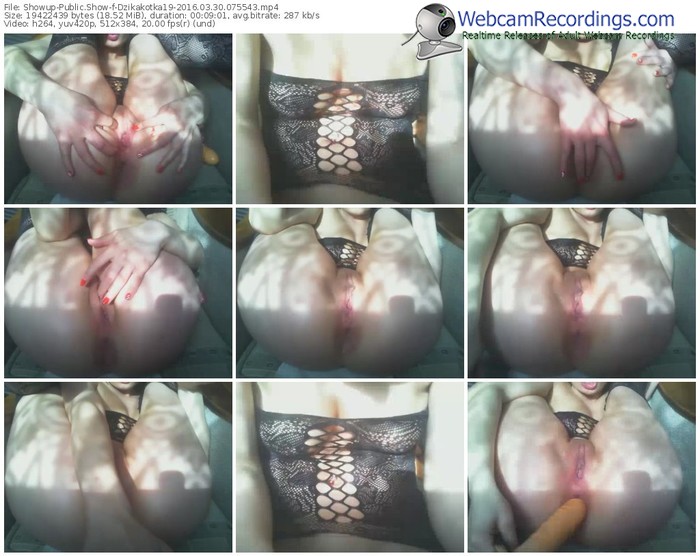 showup-dzikakotka19-webcam-show-03_30_2016-07_55_43