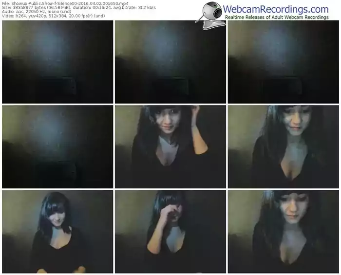 showup-silence00-webcam-show-04_02_2016-00_16_50