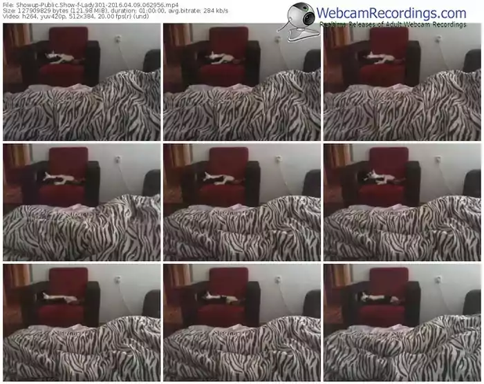 showup-lady301-webcam-show-04_09_2016-06_29_56