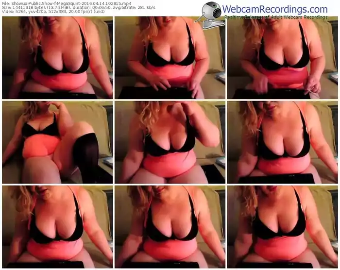 showup-megasquirt-webcam-show-04_14_2016-10_28_15