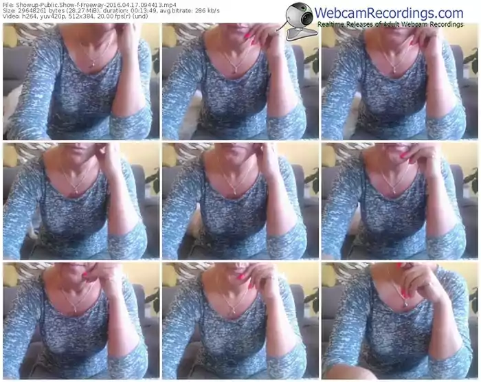 showup-freeway-webcam-show-04_17_2016-09_44_13