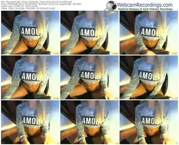 showup-serenity_view-webcam-show-04_18_2016-14_14_45