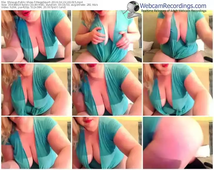 showup-megasquirt-webcam-show-04_19_2016-16_10_15