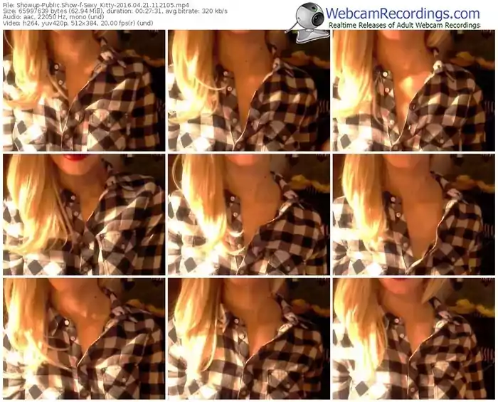 showup-sexy_kitty-webcam-show-04_21_2016-11_21_05