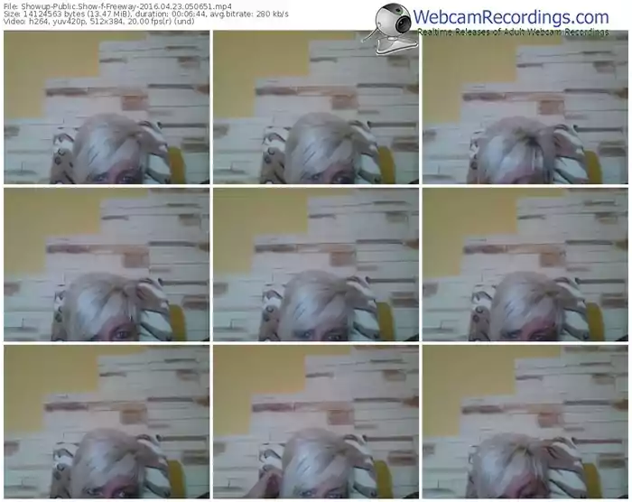 showup-freeway-webcam-show-04_23_2016-05_06_51